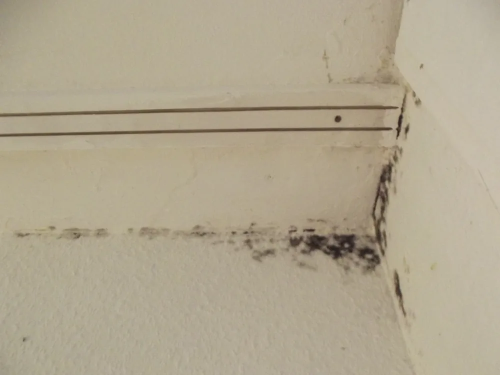 Technician in protective gear removing a mold-damaged wall in a Yreka home